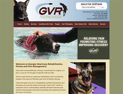 GA Vet Rehab